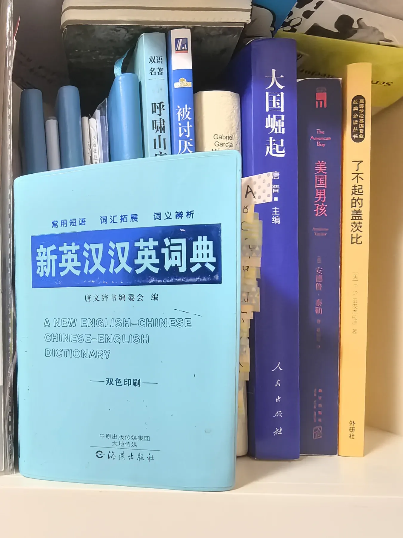 A dictionary on my bookshelf