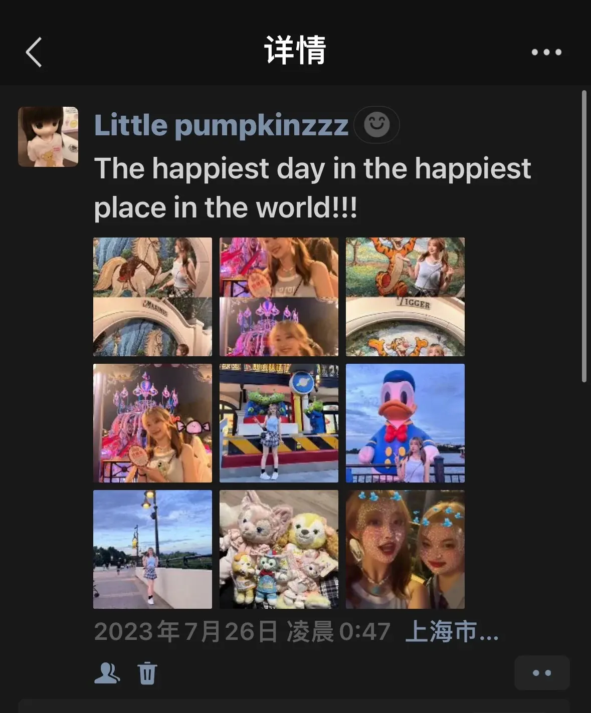 An English-language post about a day at Disneyland